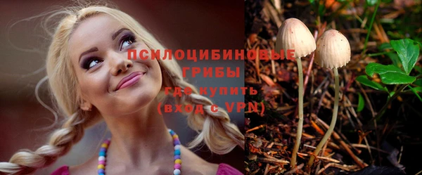 дмт Покровск