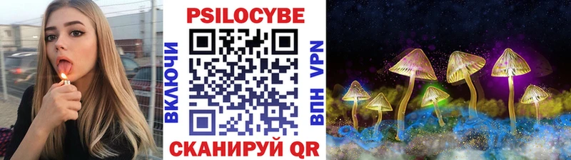 Купить  Курганинск  Галлюциногенные грибы Psilocybine cubensis 
