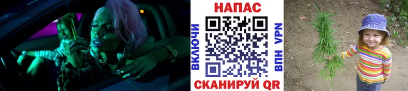 Марихуана ГИДРОПОН Курганинск